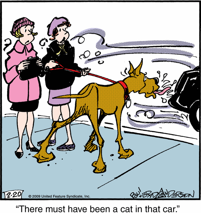 marmaduke